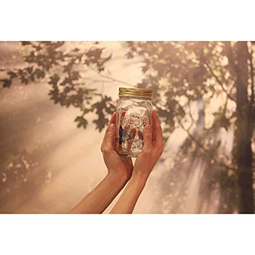 Butterfly in A Jar