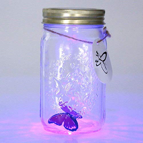Butterfly in A Jar