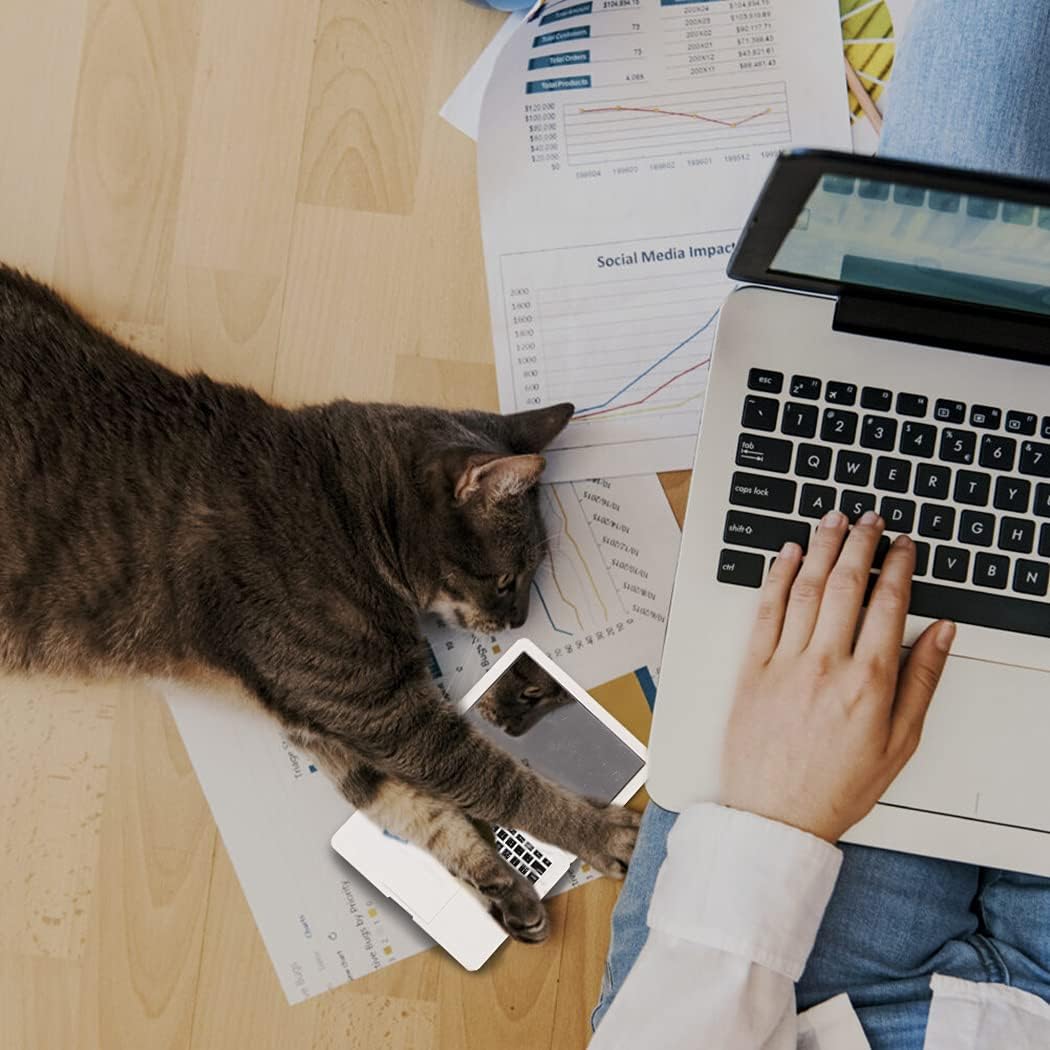 Cat Laptop
