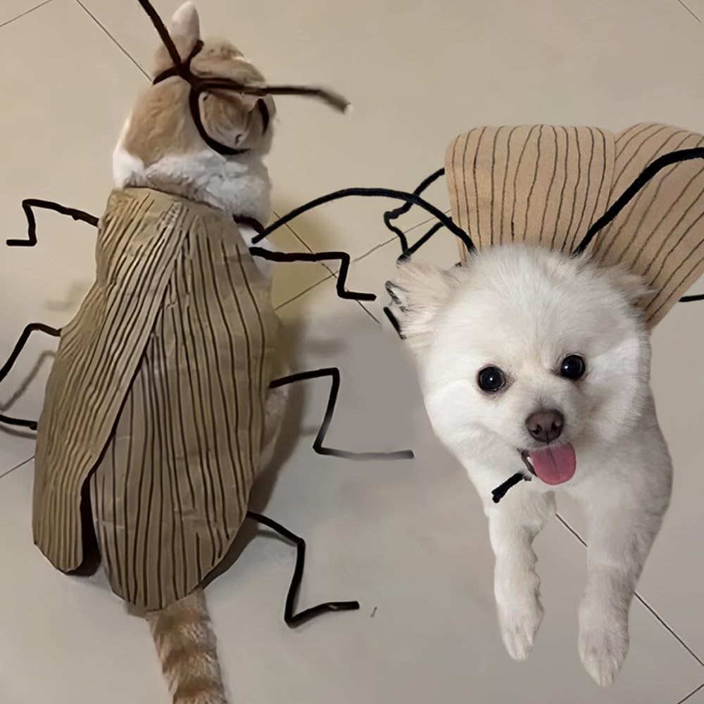 Cockroach Pet Costume