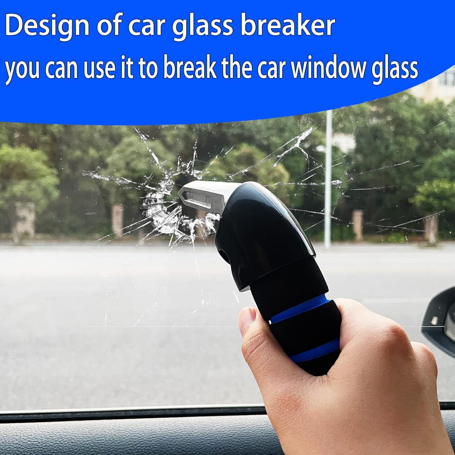 EasyGrip Car Handle Assist