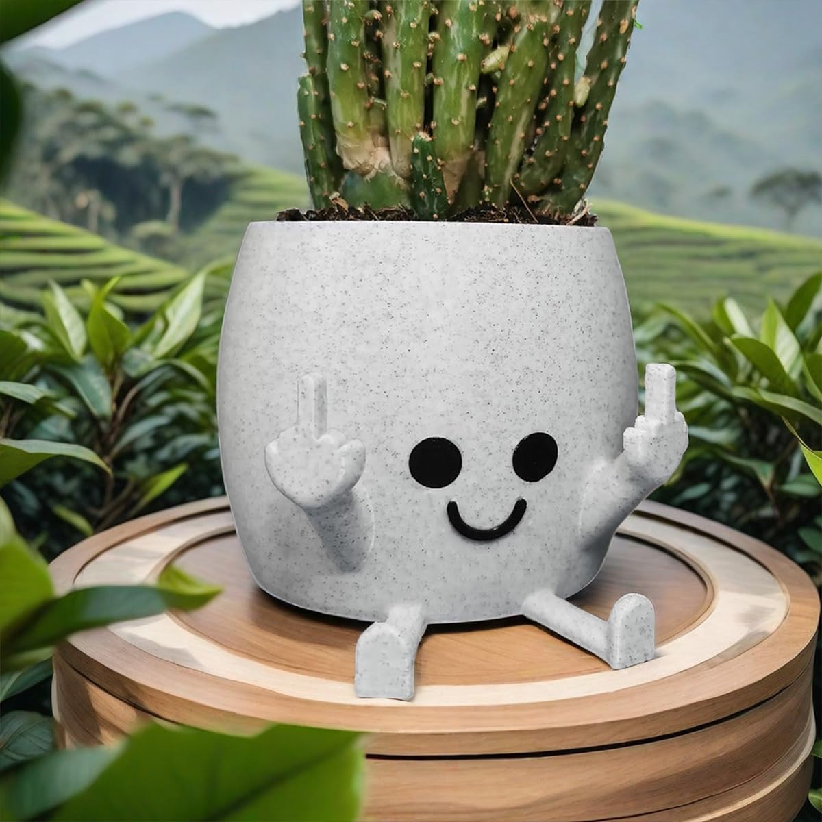 Cheeky Flowerpot
