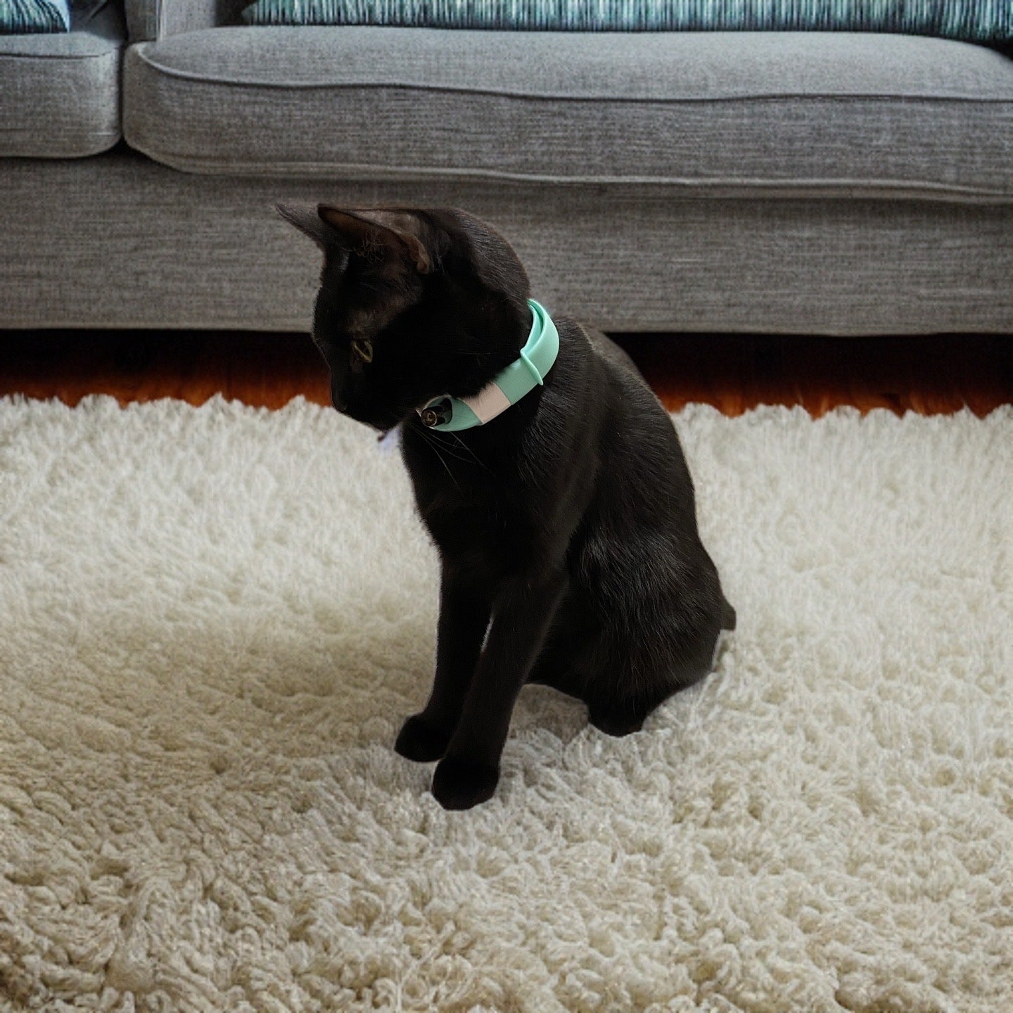 Cat Laser Collar