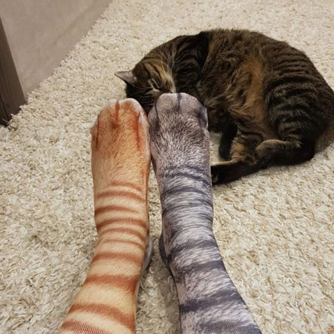 Cat Paws Socks