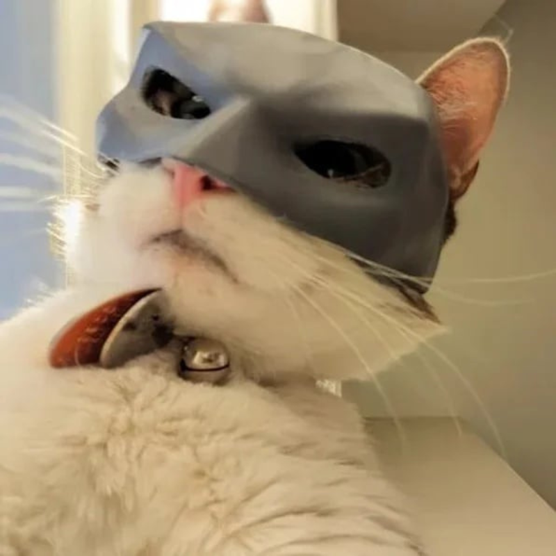 CatMan Superhero Mask