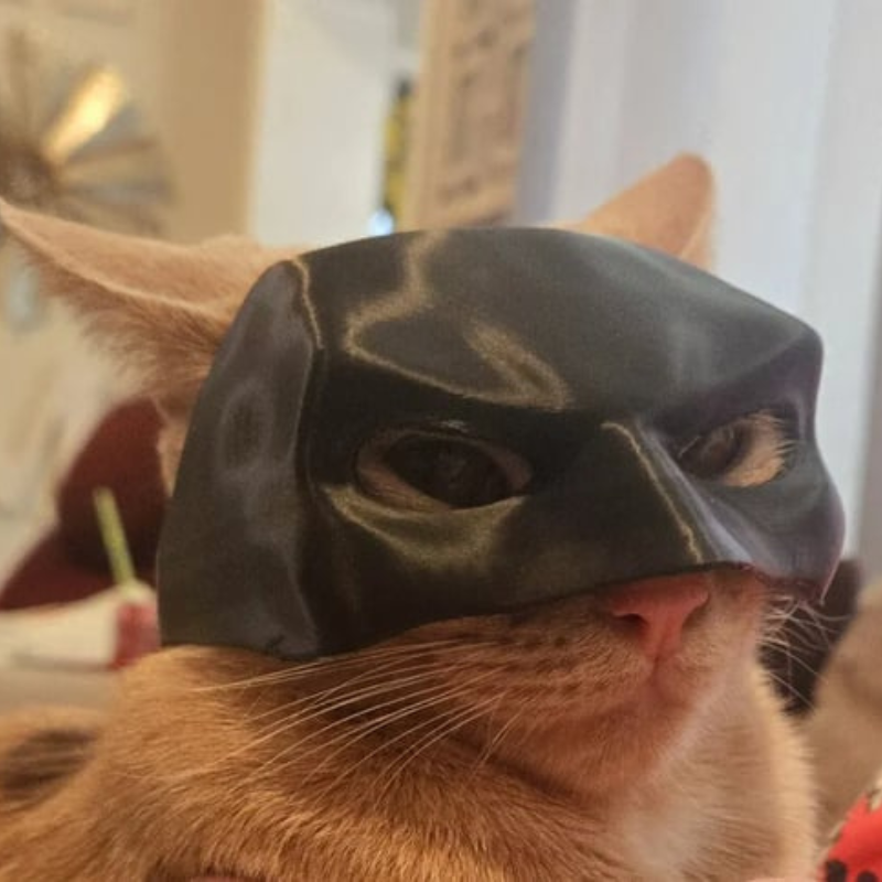 CatMan Superhero Mask