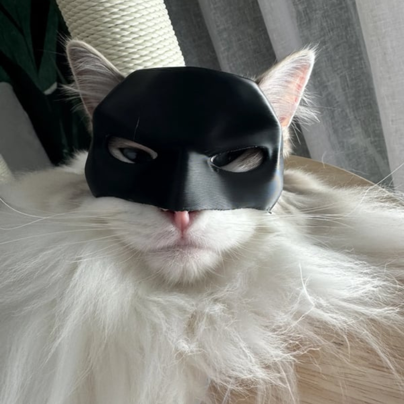 CatMan Superhero Mask