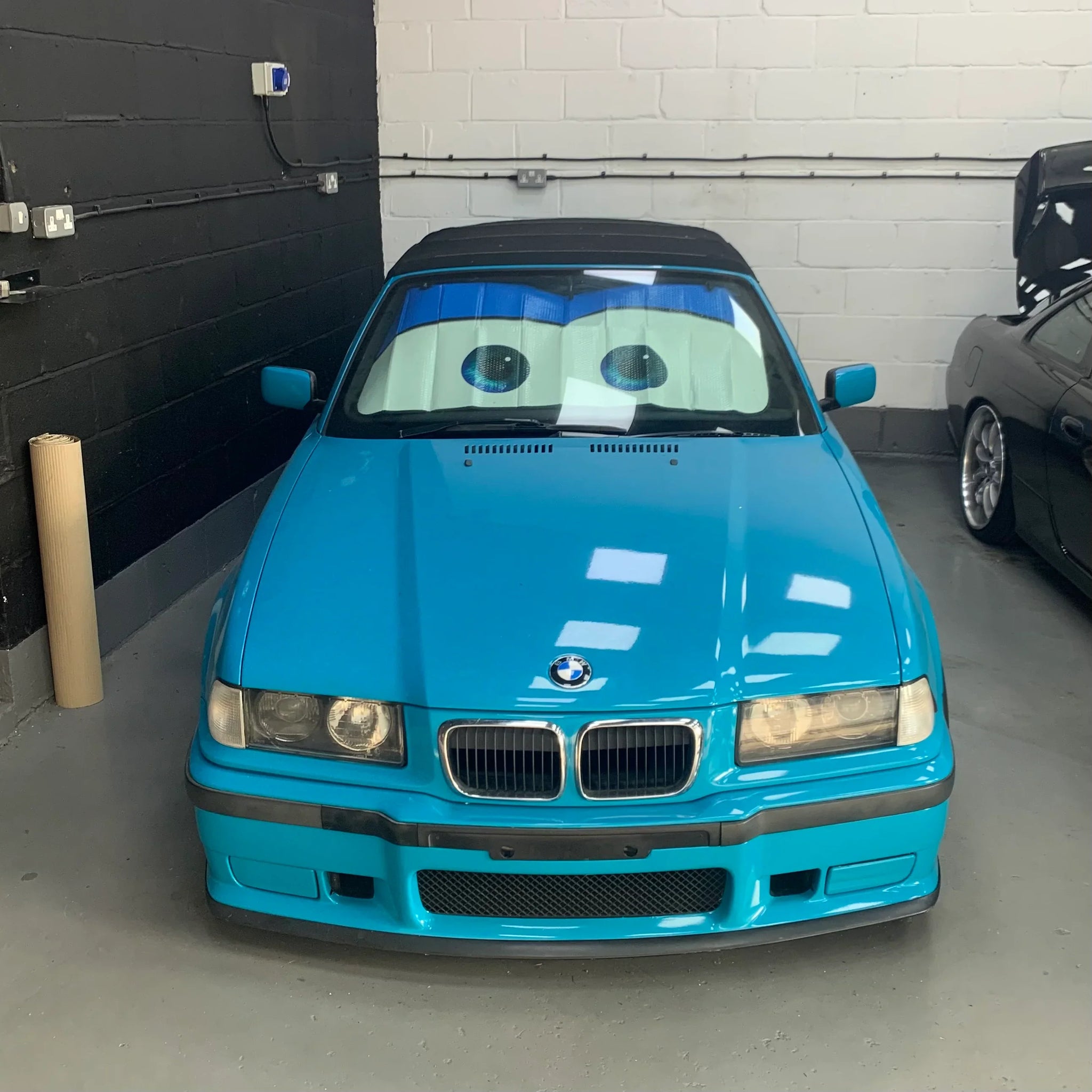 Cars Sunshade