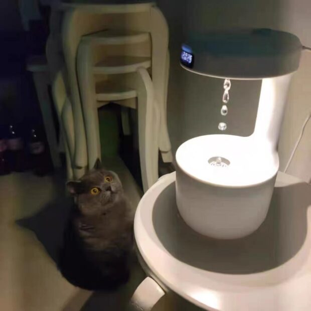 Anti-Gravity Humidifier