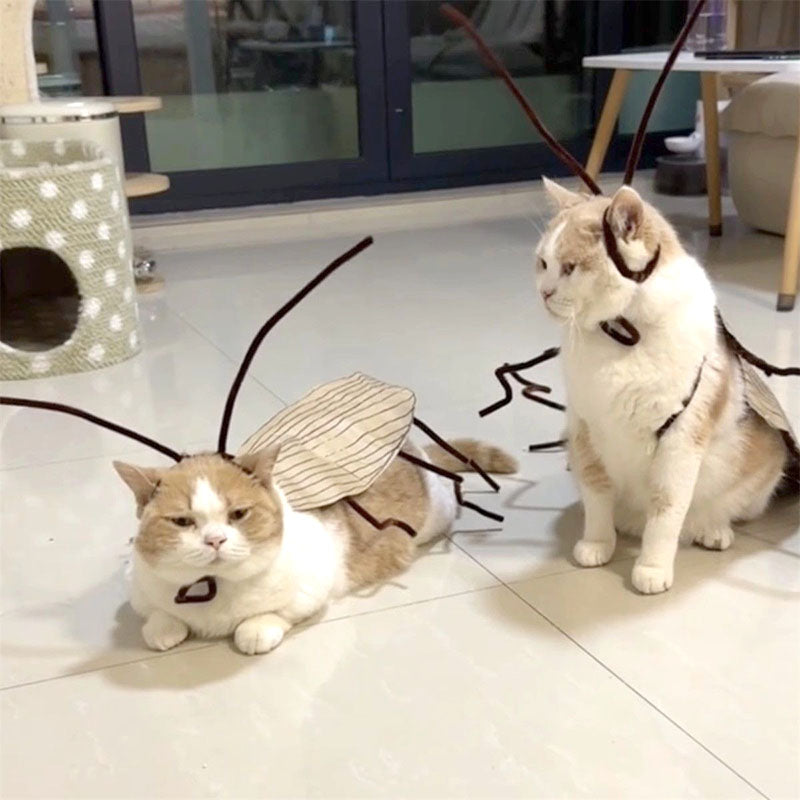 Cockroach Pet Costume