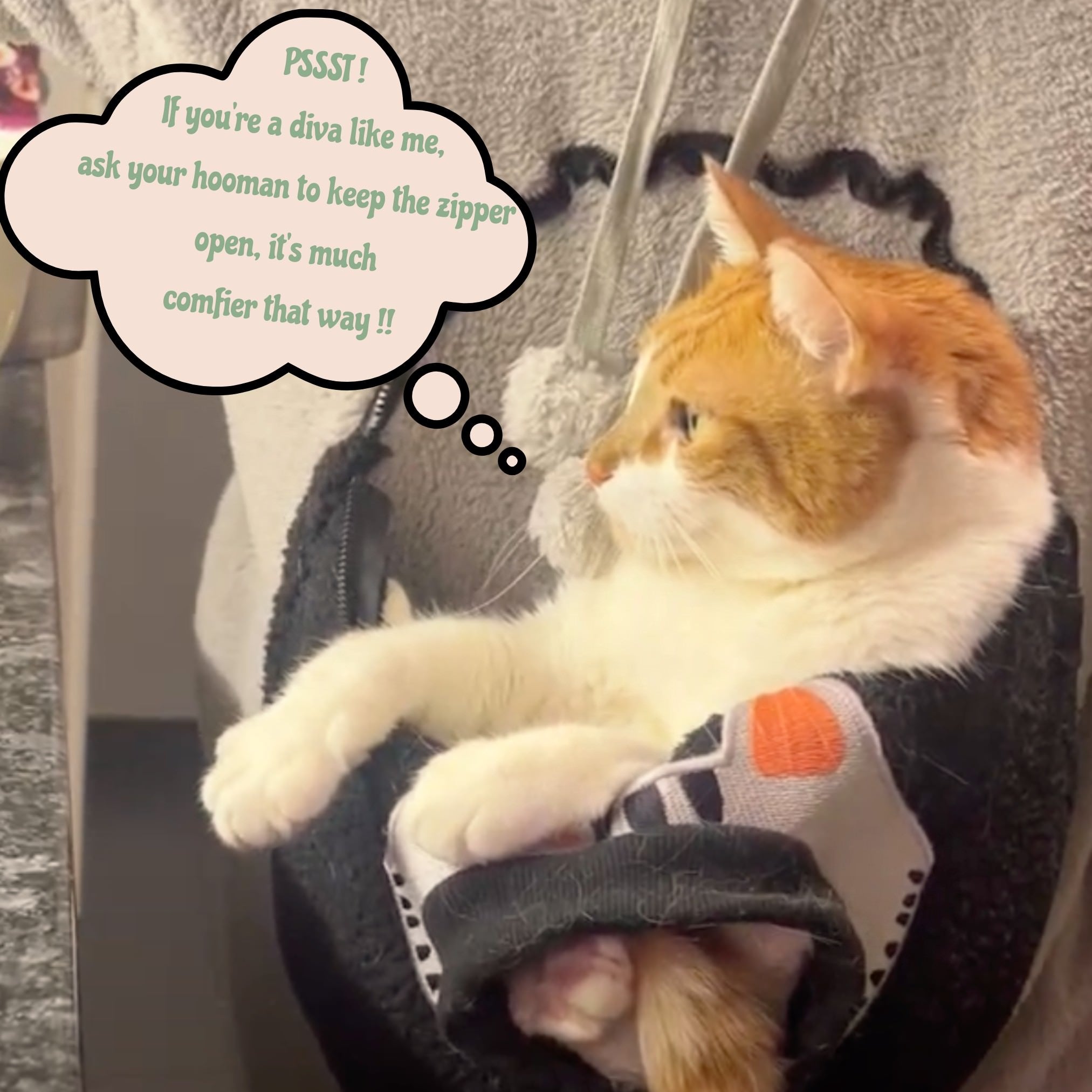 Comfy Cat Pouch hoodie