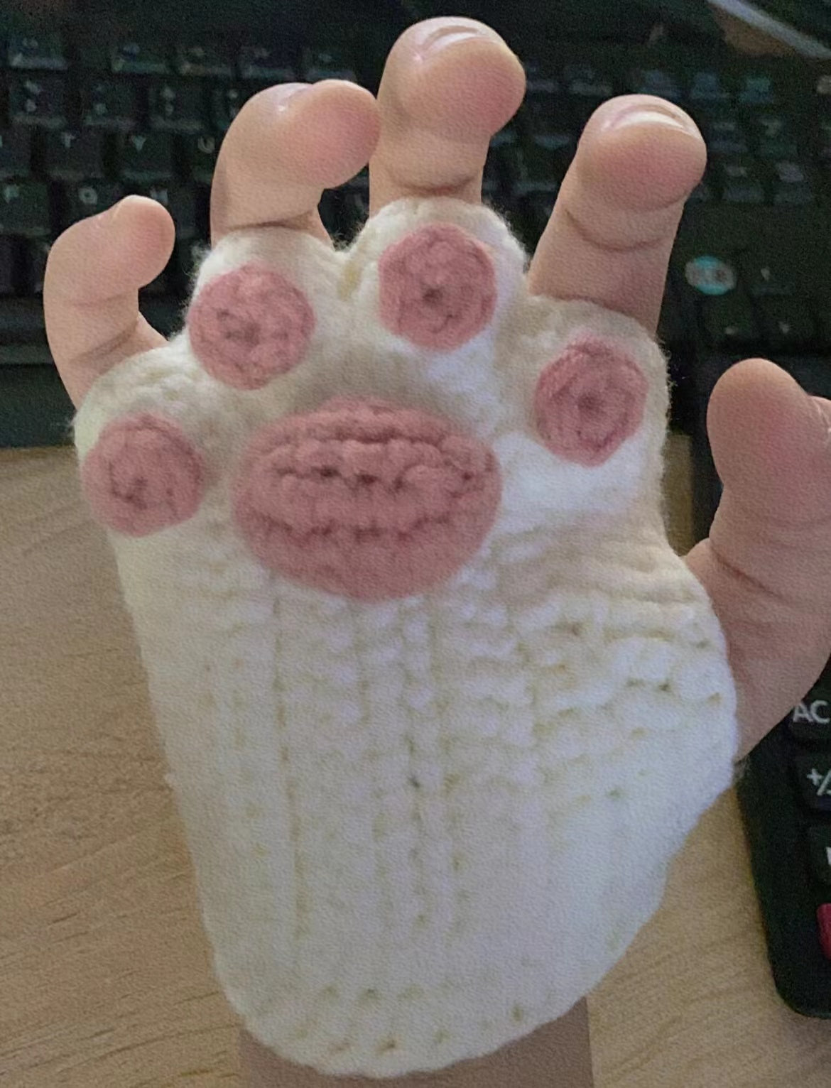 Cat Paw Hand Warmer