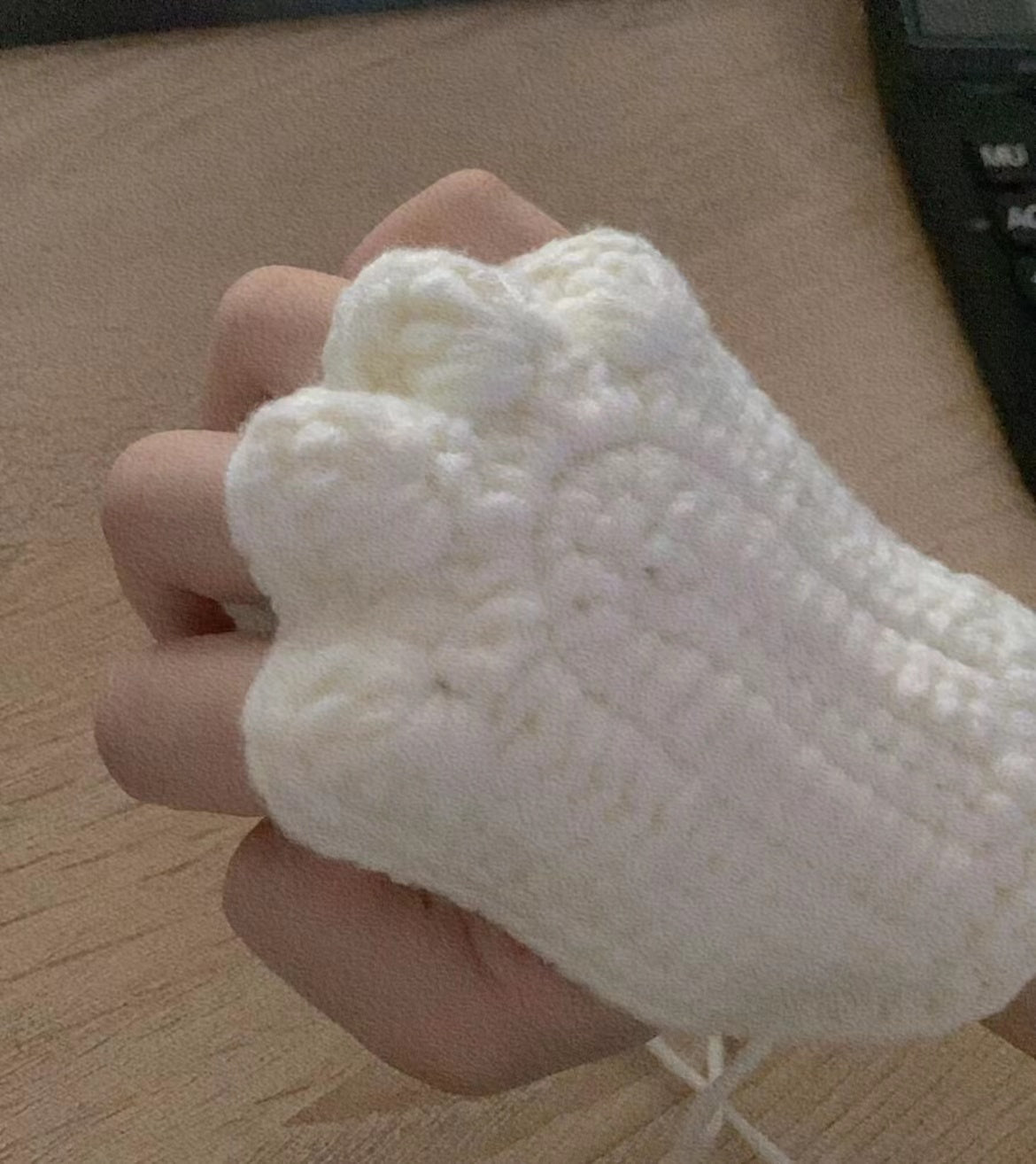 Cat Paw Hand Warmer
