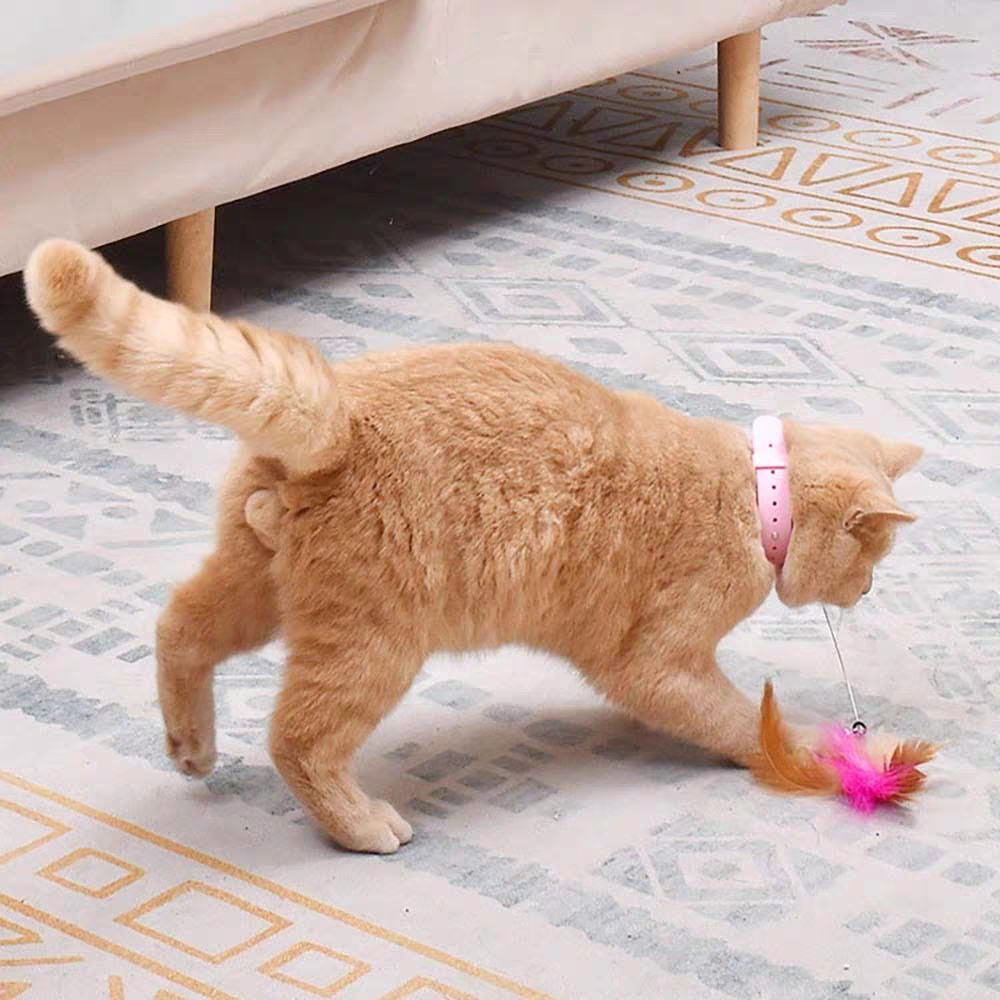 Cat Toys Feather Collar