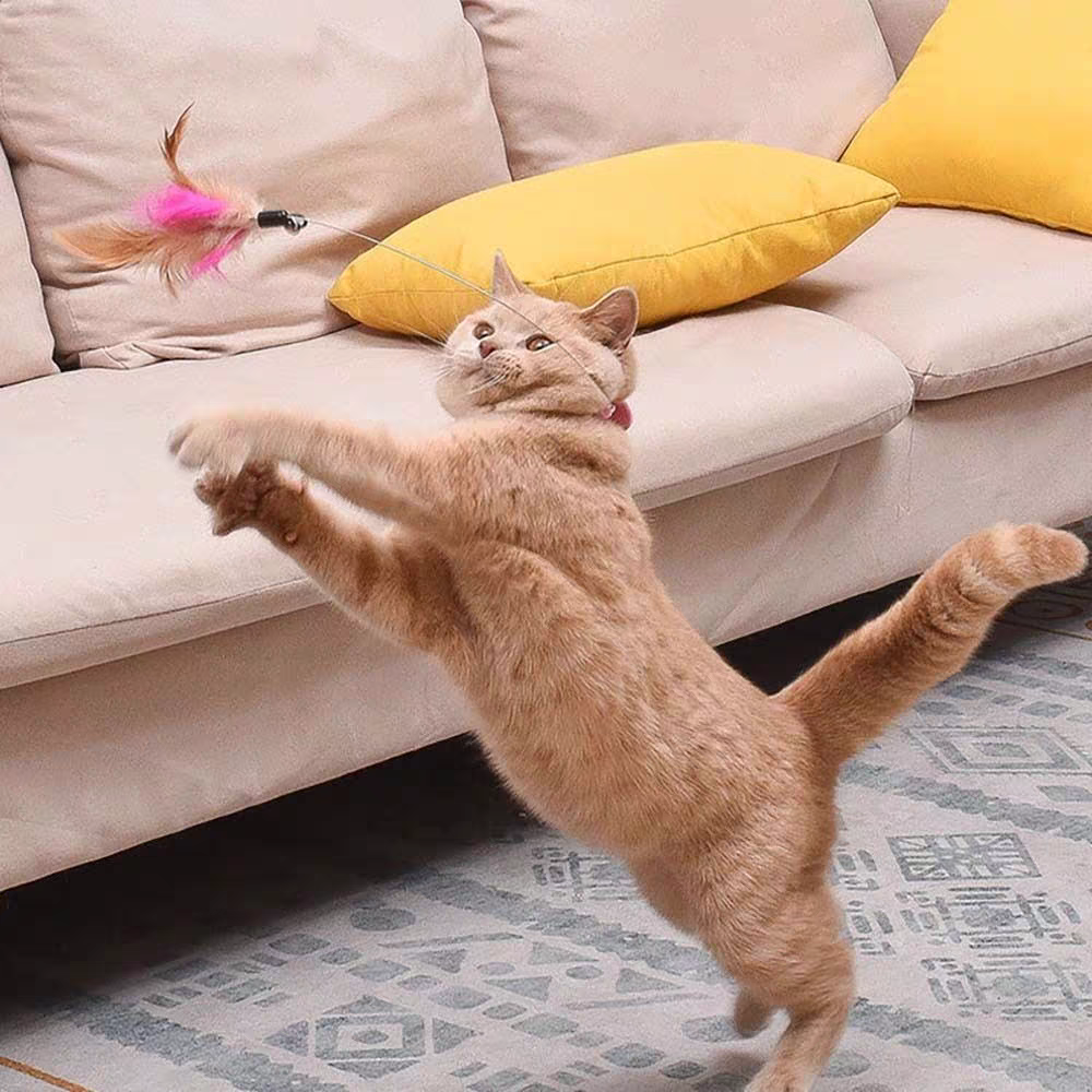 Cat Toys Feather Collar