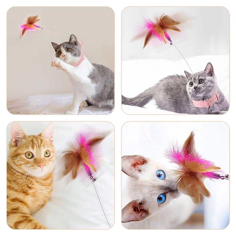 Cat Toys Feather Collar