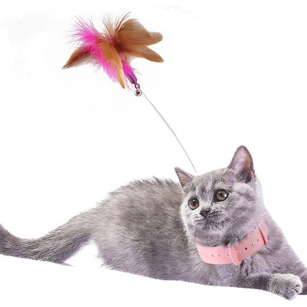 Cat Toys Feather Collar