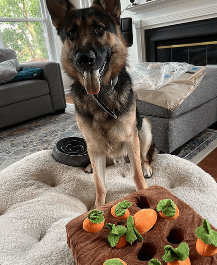 Carrot Patch Snuffle Toy