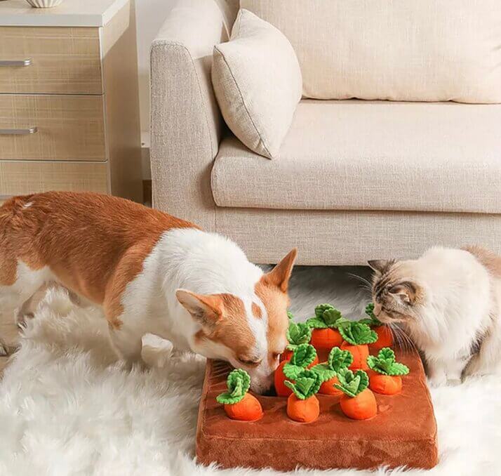 Carrot Patch Snuffle Toy